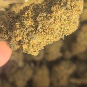 Super Lemon Haze (indoor)