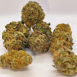 PAPAYA INDOOR USA