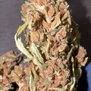 AK 47 AUTO