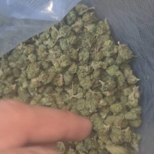 Cali SPAGNA LEMON POP OUT